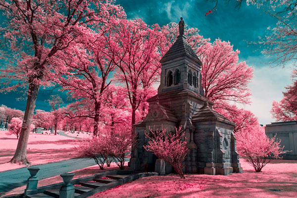 Renkli Infrared Fotoğrafçılık